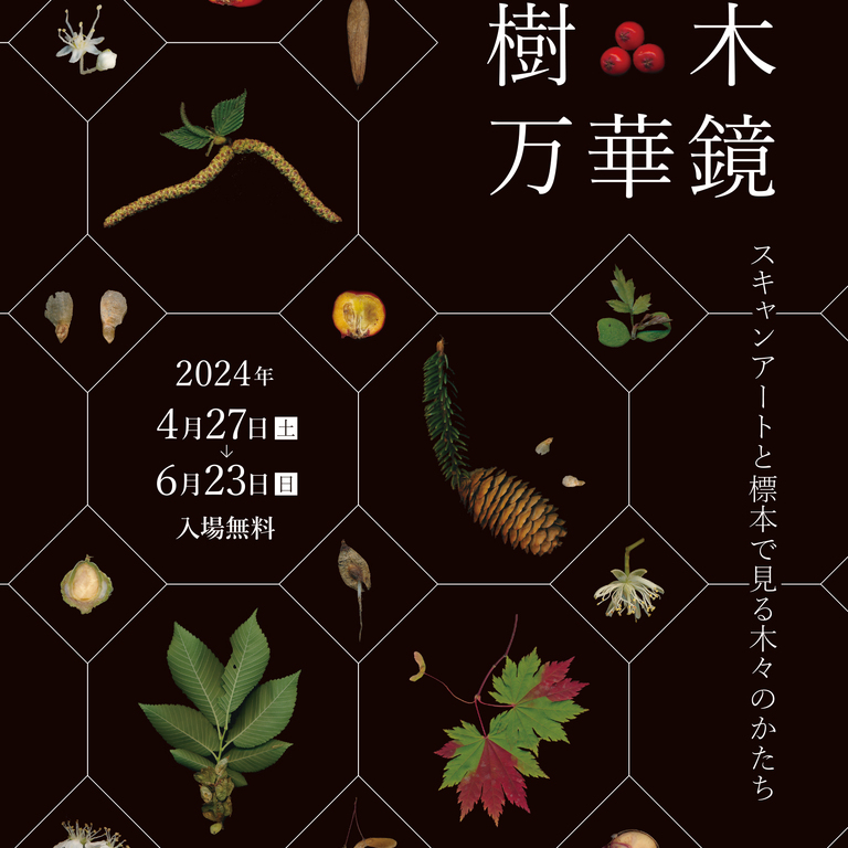 ダウンロード (34)
