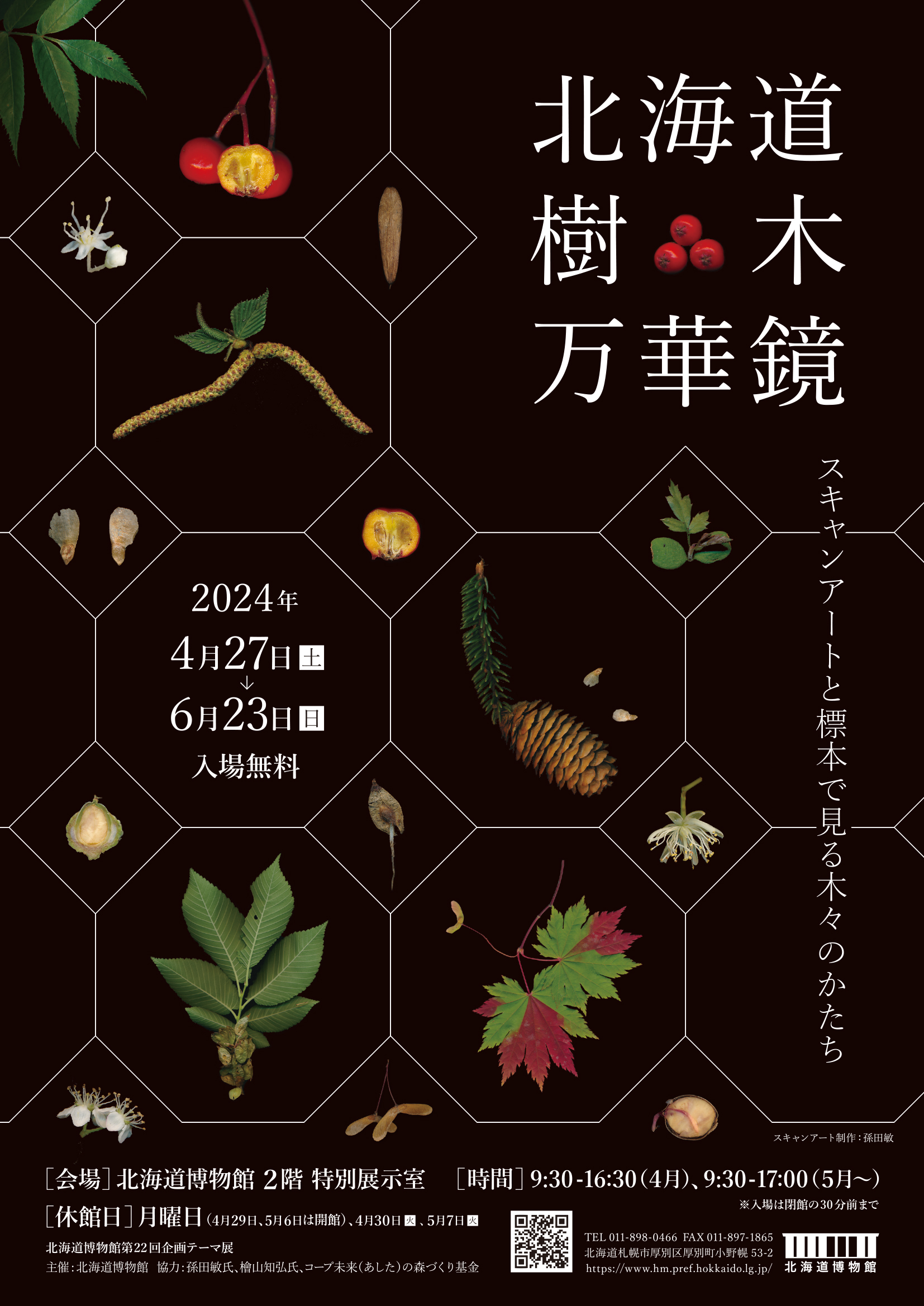 ダウンロード (34)